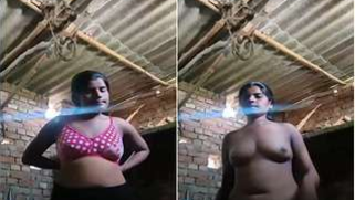 Amateur Indian slut comes to a barn and strips down on XXX camera