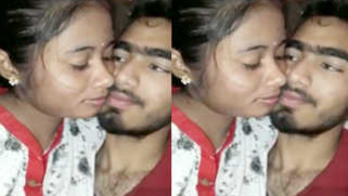 Indian chick kisses her sex partner and allows him to touch XXX tits