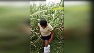 Amateur Desi girl has spontaneous XXX quickie with boy in the field | XXX Video on AllSex.XXX