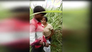 Amateur Desi girl has spontaneous XXX quickie with boy in the field