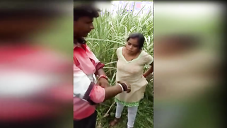 Amateur Desi girl has spontaneous XXX quickie with boy in the field | XXX Video on AllSex.XXX