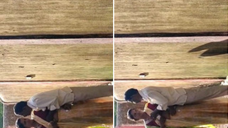 Curious Indian fellow sneakily films porn rendezvous of his neighbors