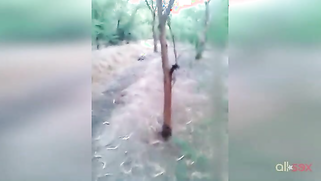 Paki hubby and wife get caught having sex outdoors by XXX voyeur | XXX Video on AllSex.XXX