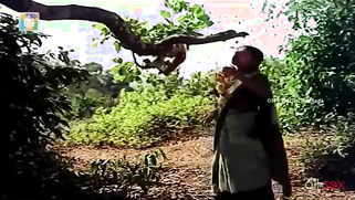 Teen Paki stepsis watches horny brother having sex with XXX babe | XXX Video on AllSex.XXX