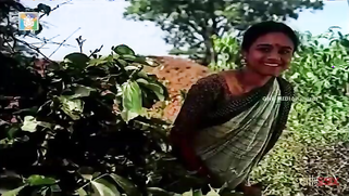 Teen Paki stepsis watches horny brother having sex with XXX babe | XXX Video on AllSex.XXX