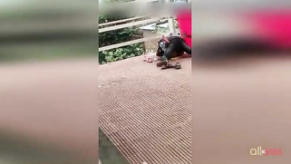 Hot amateur XXX vid of Paki hubby having sex with wife on the roof | XXX Video on AllSex.XXX