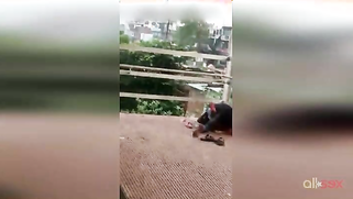 Hot amateur XXX vid of Paki hubby having sex with wife on the roof | XXX Video on AllSex.XXX