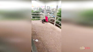 Hot amateur XXX vid of Paki hubby having sex with wife on the roof | XXX Video on AllSex.XXX