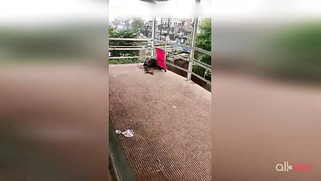 Hot amateur XXX vid of Paki hubby having sex with wife on the roof | XXX Video on AllSex.XXX