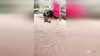 Hot amateur XXX vid of Paki hubby having sex with wife on the roof | XXX Video on AllSex.XXX