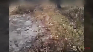 Shameless Paki bro lets a guy record his sex with XXX stepsister | XXX Video on AllSex.XXX