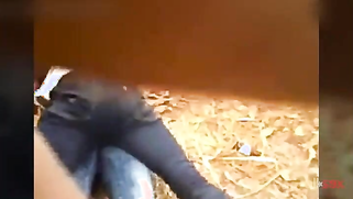 Shameless Paki bro lets a guy record his sex with XXX stepsister | XXX Video on AllSex.XXX