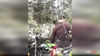 Horny Paki uncle enjoys oral sex with young XXX girl in the woods | XXX Video on AllSex.XXX