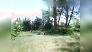 A crowd of voyeurs records sex of Paki uncle and slim XXX brunette | XXX Video on AllSex.XXX