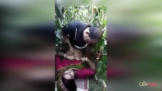 Fast sex of a mature Paki dude and XXX stepdaughter in the field | XXX Video on AllSex.XXX