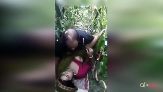 Fast sex of a mature Paki dude and XXX stepdaughter in the field | XXX Video on AllSex.XXX