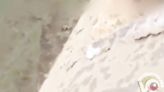 Public sex of horny husband and slutty XXX Paki wife in the street | XXX Video on AllSex.XXX