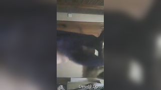 XXX hottie teases with sex-hungry body dancing to the Paki music | XXX Video on AllSex.XXX