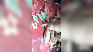 Skinny Paki XXX wife stick banana into twat before sex with hubby | XXX Video on AllSex.XXX