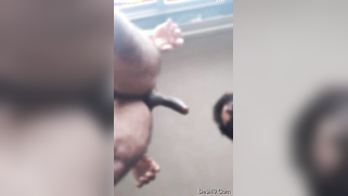 Unforgettable oral sex from amateur Paki XXX babe for a horny male | XXX Video on AllSex.XXX