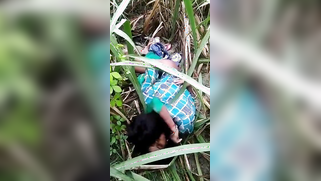 Desi cheating wife gets outdoor sex! Caught by a ananist - voyeur | XXX Video on AllSex.XXX