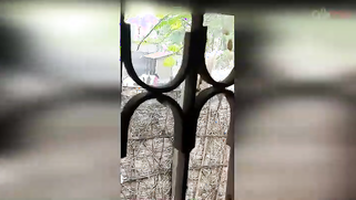 Guy can't take eyes off hot Desi MILF in slinky red dress washing | XXX Video on AllSex.XXX