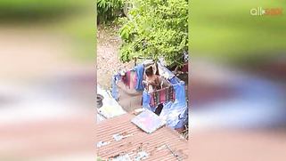 Such an amazing sight of tempting naked Indian young woman outdoors | XXX Video on AllSex.XXX