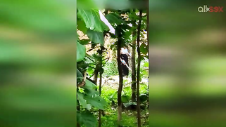 Indian doesn't permit stalker to film her so man has to hide for video | XXX Video on AllSex.XXX