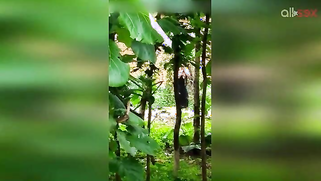 Indian doesn't permit stalker to film her so man has to hide for video | XXX Video on AllSex.XXX