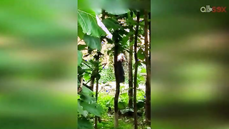 Indian doesn't permit stalker to film her so man has to hide for video | XXX Video on AllSex.XXX