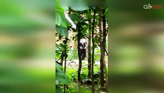 Indian doesn't permit stalker to film her so man has to hide for video | XXX Video on AllSex.XXX