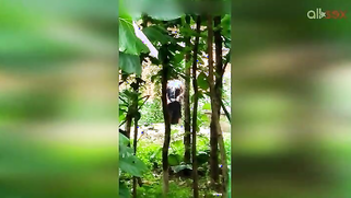 Indian doesn't permit stalker to film her so man has to hide for video | XXX Video on AllSex.XXX