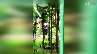 Indian doesn't permit stalker to film her so man has to hide for video | XXX Video on AllSex.XXX