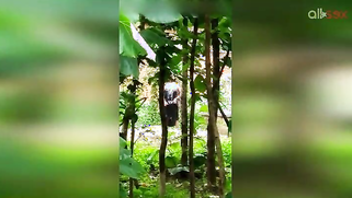 Indian doesn't permit stalker to film her so man has to hide for video | XXX Video on AllSex.XXX