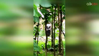 Indian doesn't permit stalker to film her so man has to hide for video | XXX Video on AllSex.XXX