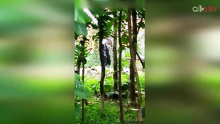 Indian doesn't permit stalker to film her so man has to hide for video | XXX Video on AllSex.XXX