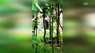 Indian doesn't permit stalker to film her so man has to hide for video | XXX Video on AllSex.XXX