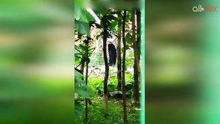 Indian doesn't permit stalker to film her so man has to hide for video | XXX Video on AllSex.XXX