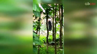 Indian doesn't permit stalker to film her so man has to hide for video | XXX Video on AllSex.XXX