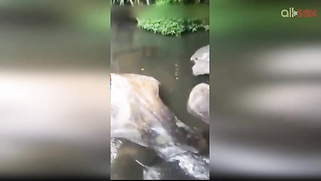 Lewd amateur Desi aunty flashing her nice big tits while bathing outdoor | XXX Video on AllSex.XXX