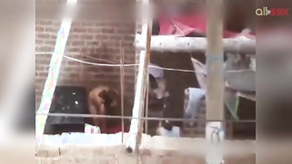 My lovely incredibly horny Desi girl bathing outdoor on hidden cam video | XXX Video on AllSex.XXX