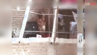 My lovely incredibly horny Desi girl bathing outdoor on hidden cam video | XXX Video on AllSex.XXX