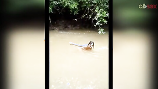 Fuckable Desi aunty bathes outdoor and shows off her hairy pussy