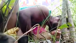 XXX Tamil sex video | XXX Video on AllSex.XXX