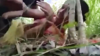 XXX Tamil sex video | XXX Video on AllSex.XXX