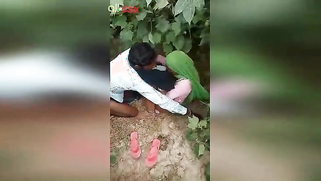 Husband caught his Desi wife cheating with lover in in field | XXX Video on AllSex.XXX
