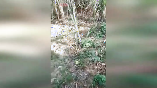 XXX-shaped body of slutty Indian caught being drilled in the field | XXX Video on AllSex.XXX