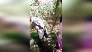 XXX-shaped body of slutty Indian caught being drilled in the field | XXX Video on AllSex.XXX