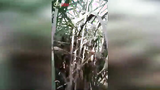 XXX-shaped body of slutty Indian caught being drilled in the field | XXX Video on AllSex.XXX