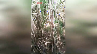 XXX-shaped body of slutty Indian caught being drilled in the field | XXX Video on AllSex.XXX